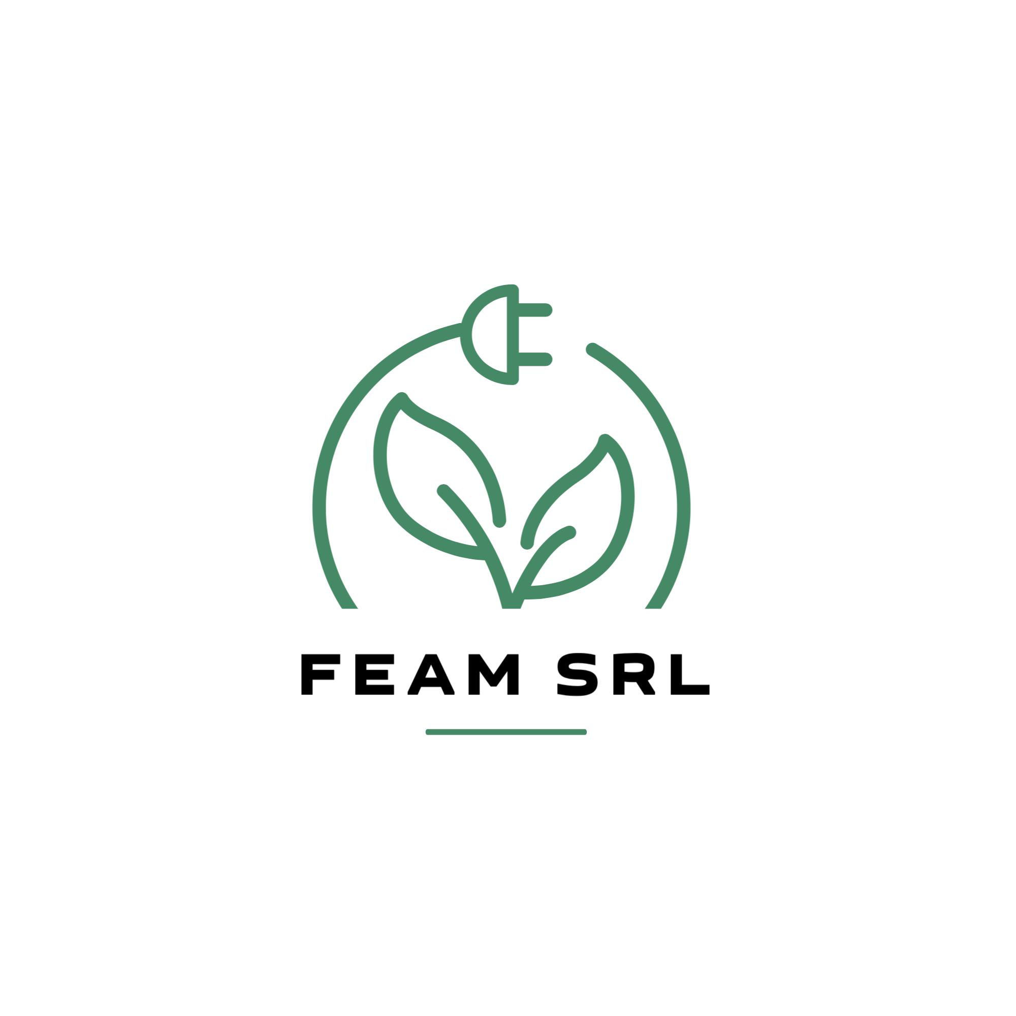 FEAM SRL